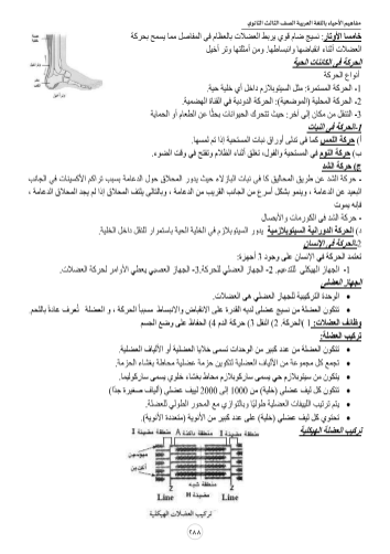 مفاهيم الاحياء2 مفاهيم الاحياء2